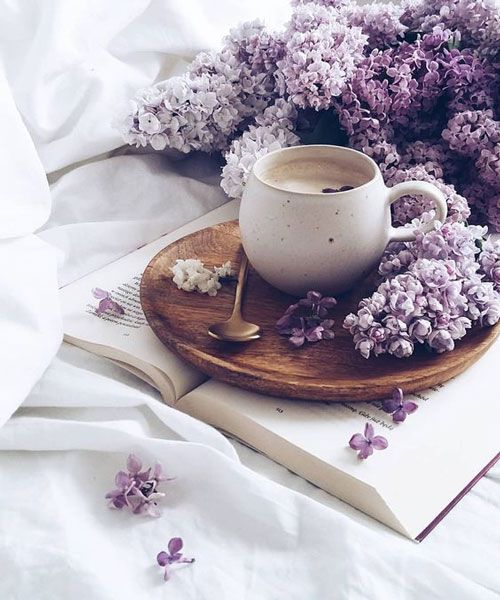 Fatemeh Najafgholipour